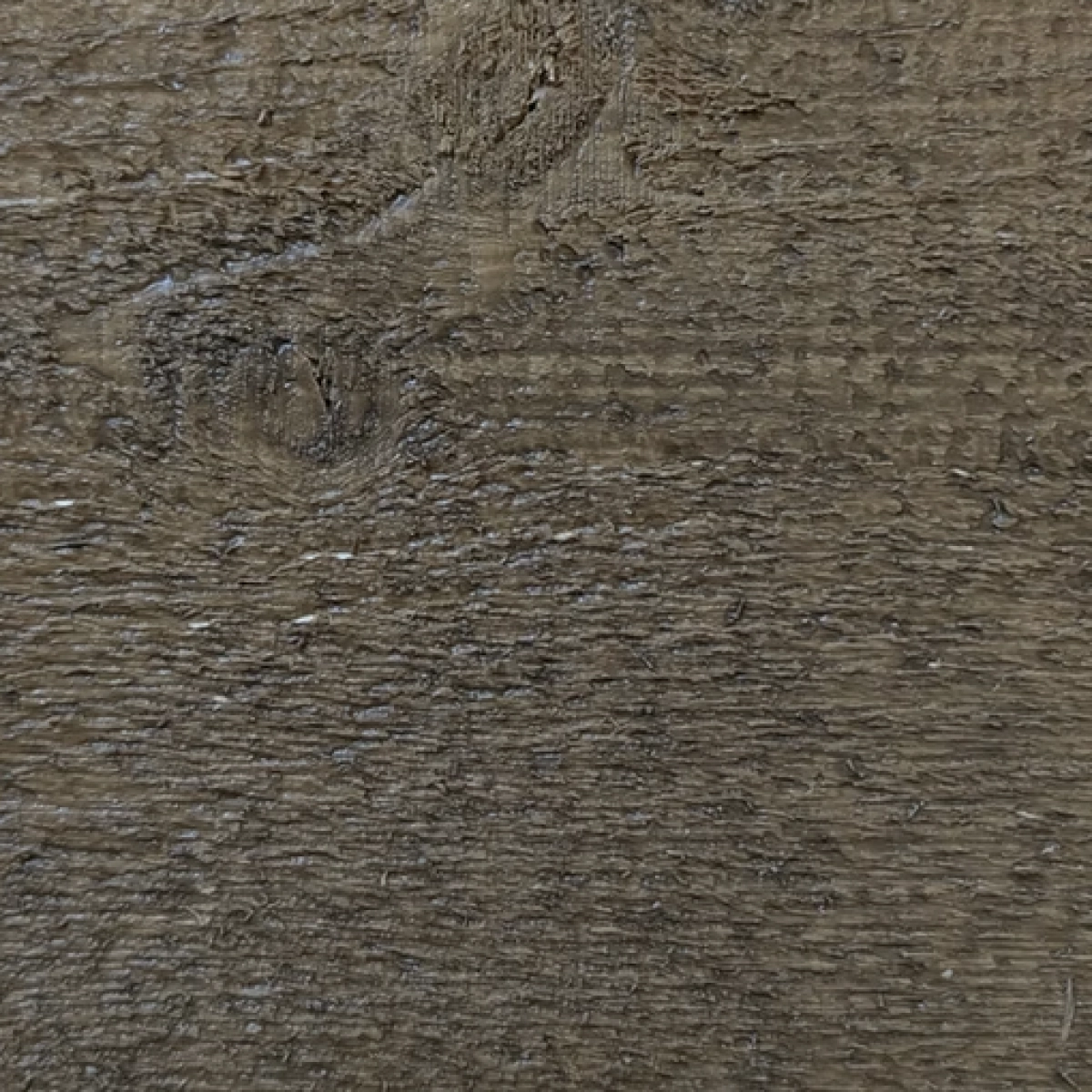 Screenshot 2026 01 15 at 12 04 12 PM