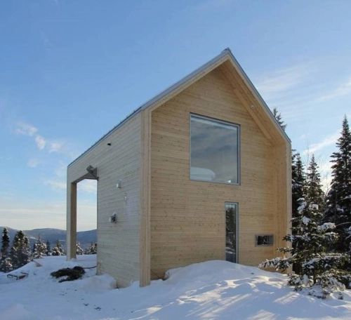 Cèdre BLANC noueux fini sablé naturel sans couleur