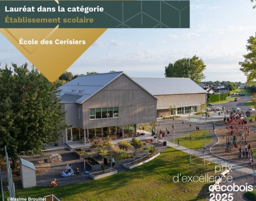 Cèdre BLANC noueux fini brut 1